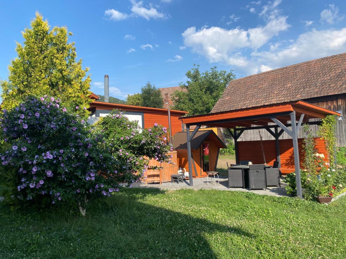 Casa De Oaspeti Anciupi Vendeghaz Parajd Kültér fotó