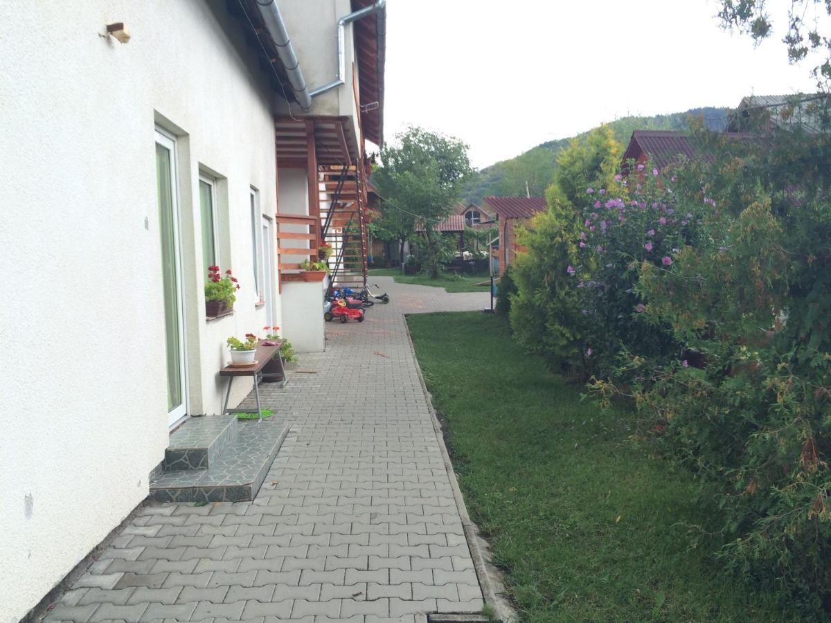 Casa De Oaspeti Anciupi Vendeghaz Parajd Kültér fotó