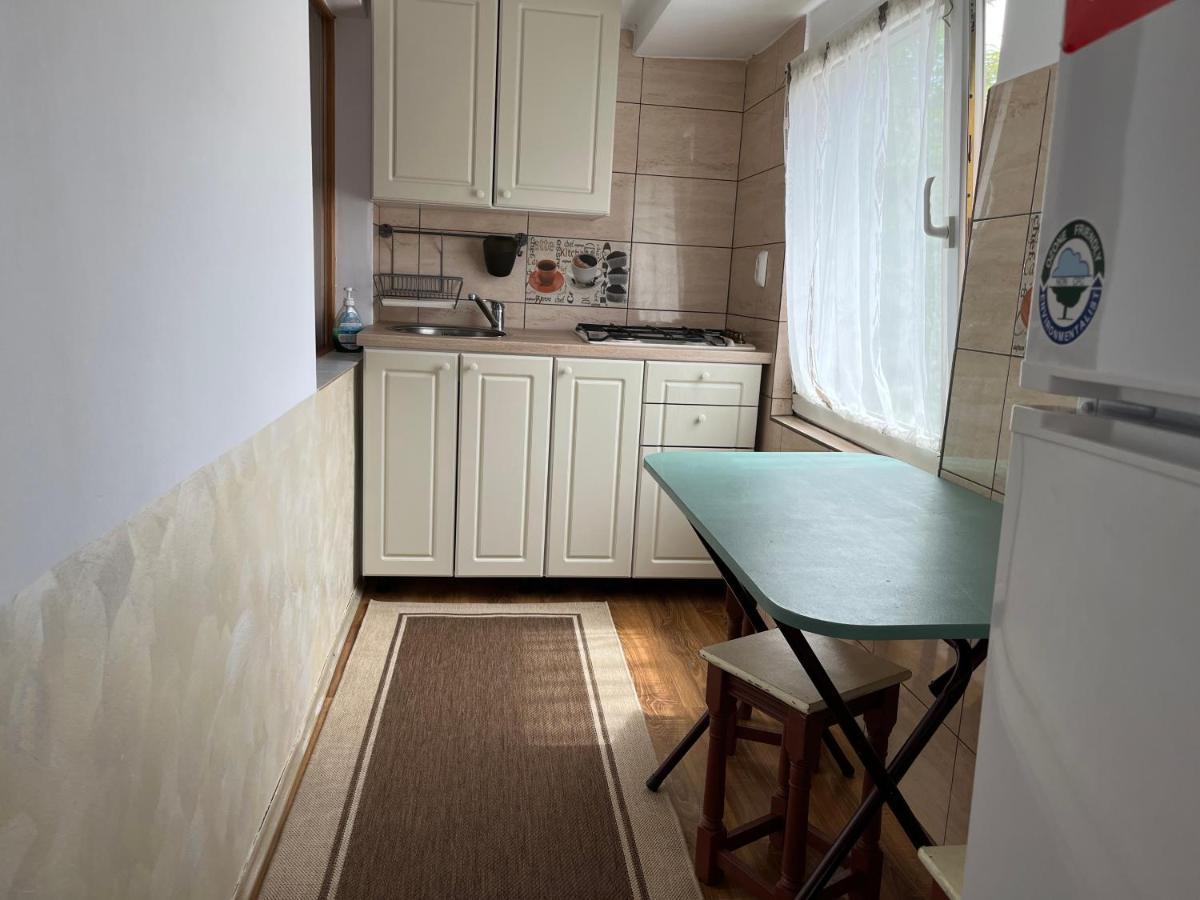 Casa De Oaspeti Anciupi Vendeghaz Parajd Kültér fotó